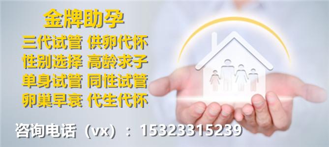 供卵试管包生男孩公司_供卵试管包生男孩公司:打造梦想家庭的首选选择