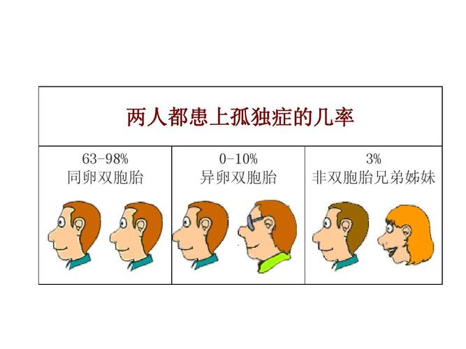 代生双胞胎_双胞胎的代生之谜