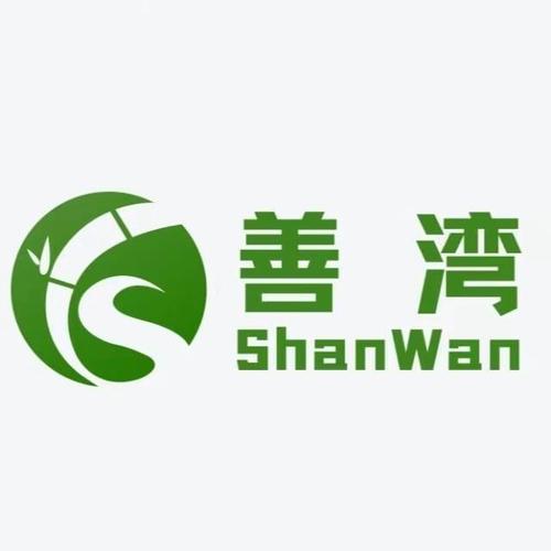 代生代怀公司(代生代怀公司：传承与创新)