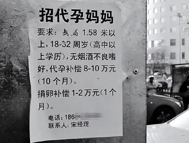 供卵一个要多少钱(供卵一个要多少钱？代孕市场的价格揭秘)