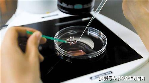 供卵试管被骗【供卵试管被骗:背后的真相】