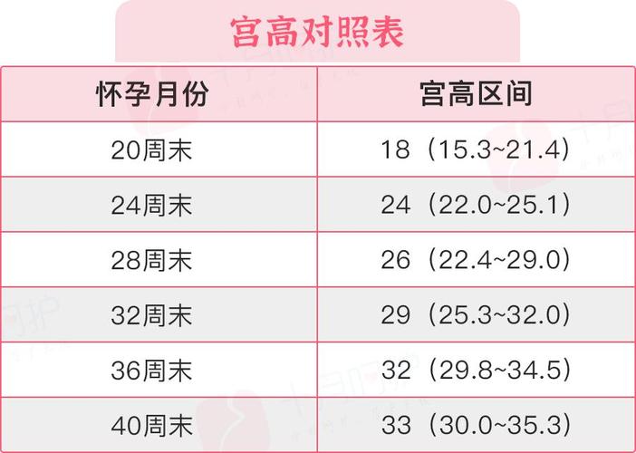 供卵女孩多少基础卵泡数较好【供卵女孩基础卵泡数多少才算较好?】