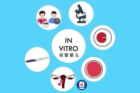 代卵试管代怀机构可靠吗(代卵试管代怀机构的可靠性调查)