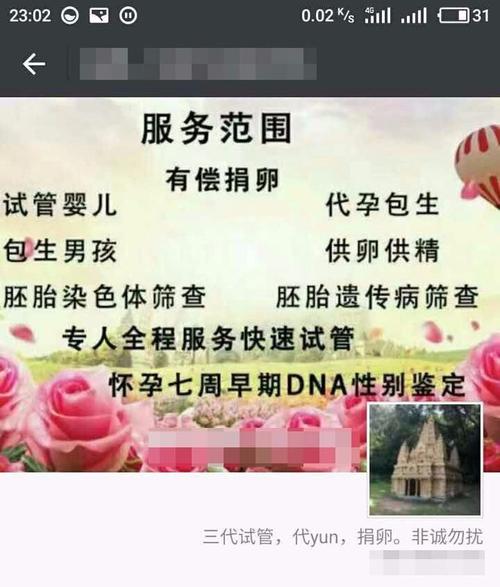 供卵代生女孩(代孕女孩:生命的选择与挑战)
